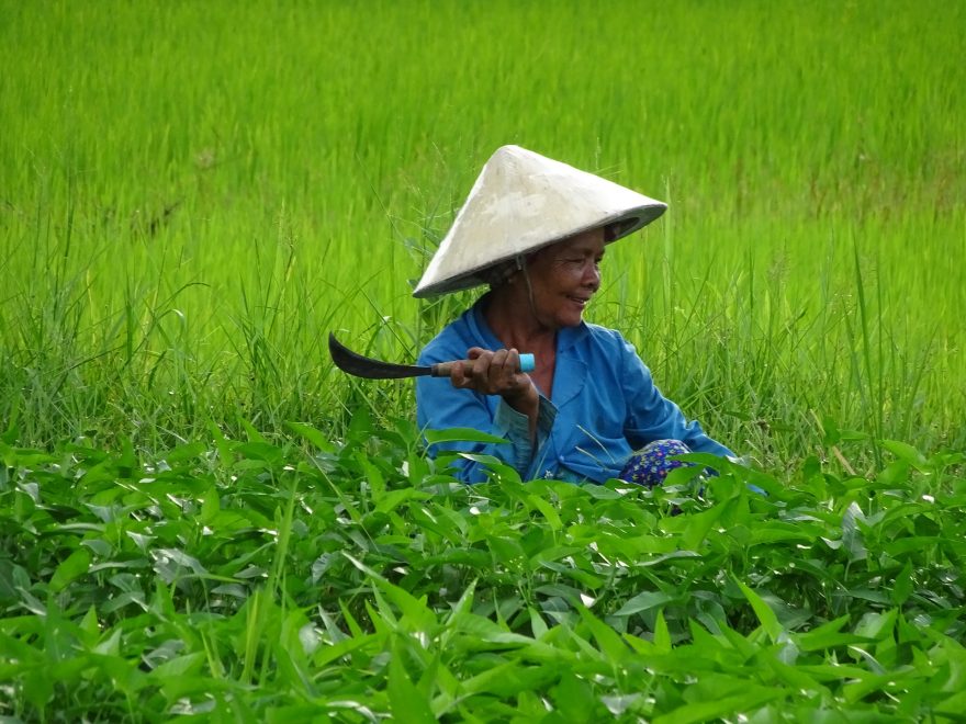 Chinesische Kleinbäuerin